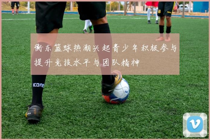 衡东篮球热潮兴起青少年积极参与提升竞技水平与团队精神