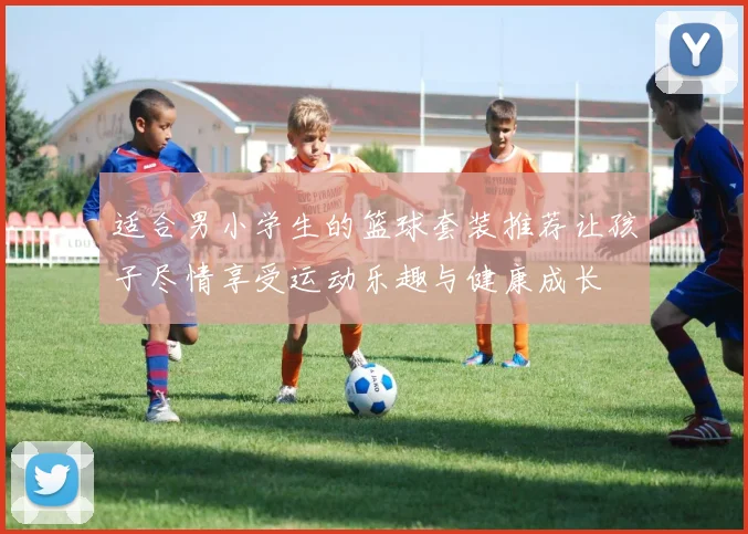 适合男小学生的篮球套装推荐让孩子尽情享受运动乐趣与健康成长
