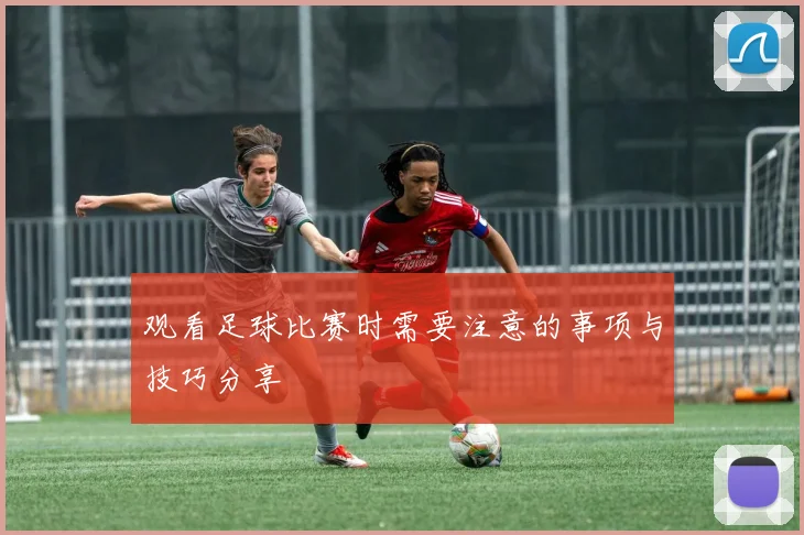 观看足球比赛时需要注意的事项与技巧分享