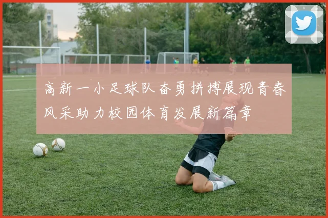 高新一小足球队奋勇拼搏展现青春风采助力校园体育发展新篇章