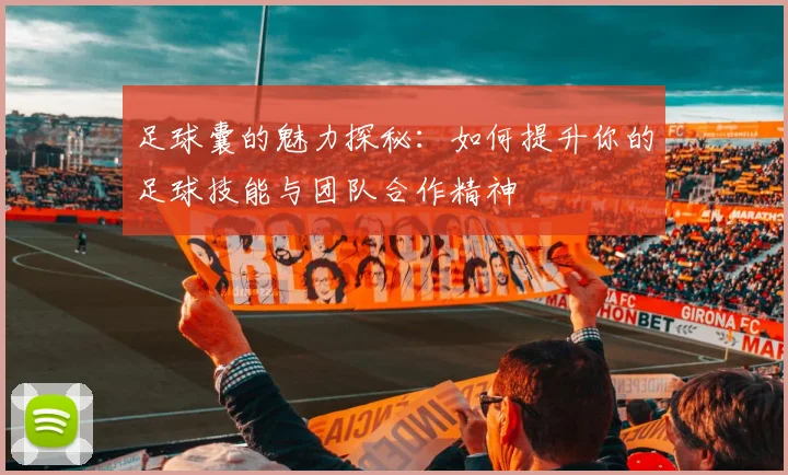 足球囊的魅力探秘：如何提升你的足球技能与团队合作精神